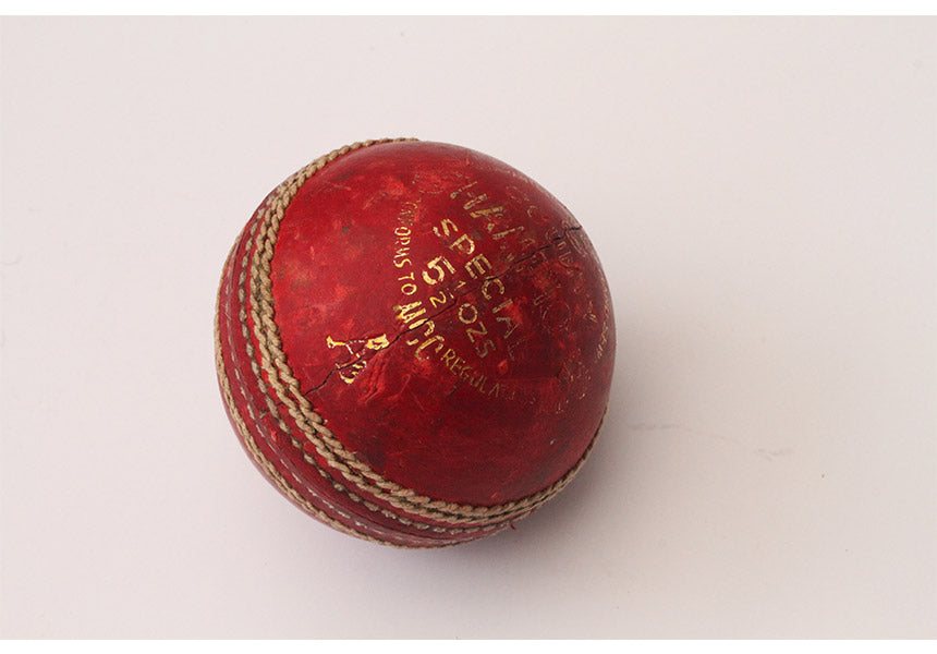 A comprehensive guide to buying cricket balls.