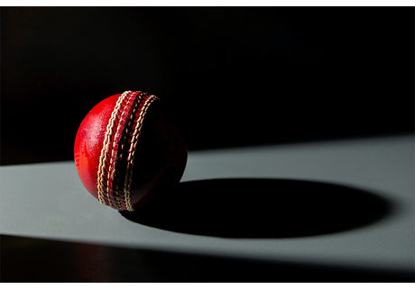 Customized Cricket Balls.